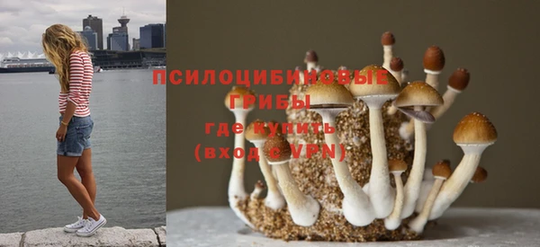 spice Нефтегорск